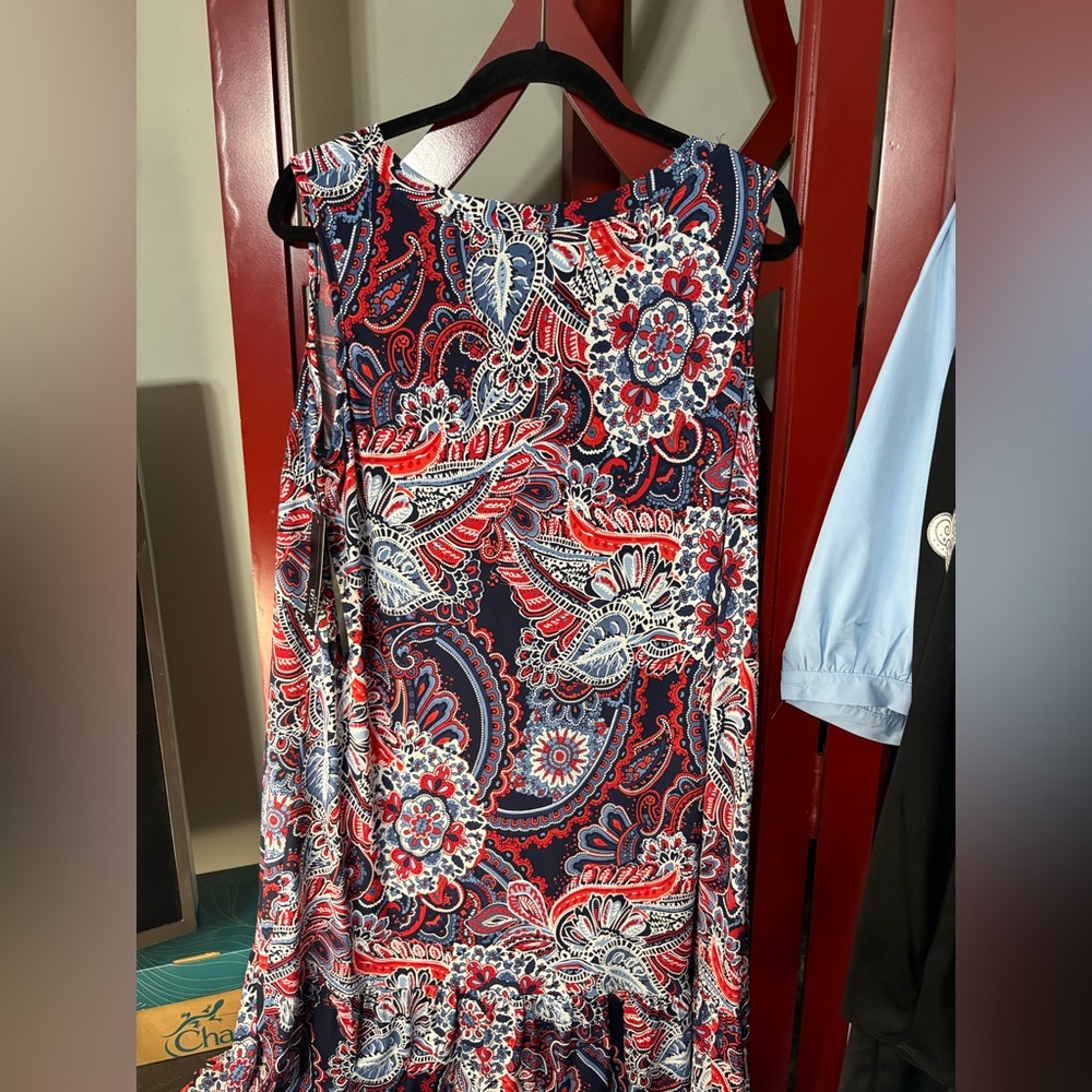 AGB Red and Blue Floral Midi Dress - Picture 4 of 5